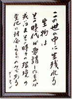�_�[�E�B���̊i��
